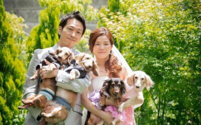 ペットと一緒に洋装スタジオ撮影~埼玉フォトウェデング~