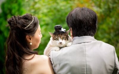 ペットと一緒にスタジオにて洋装&和装フォトウェディング~埼玉~