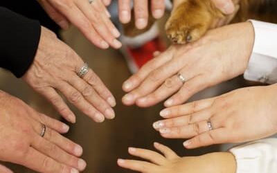 ご家族様みんなでスタジオ撮影！和装&洋装フォトウェディング〜埼玉〜