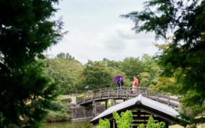 和装で花田苑ロケーション撮影&洋装スタジオ撮影📷