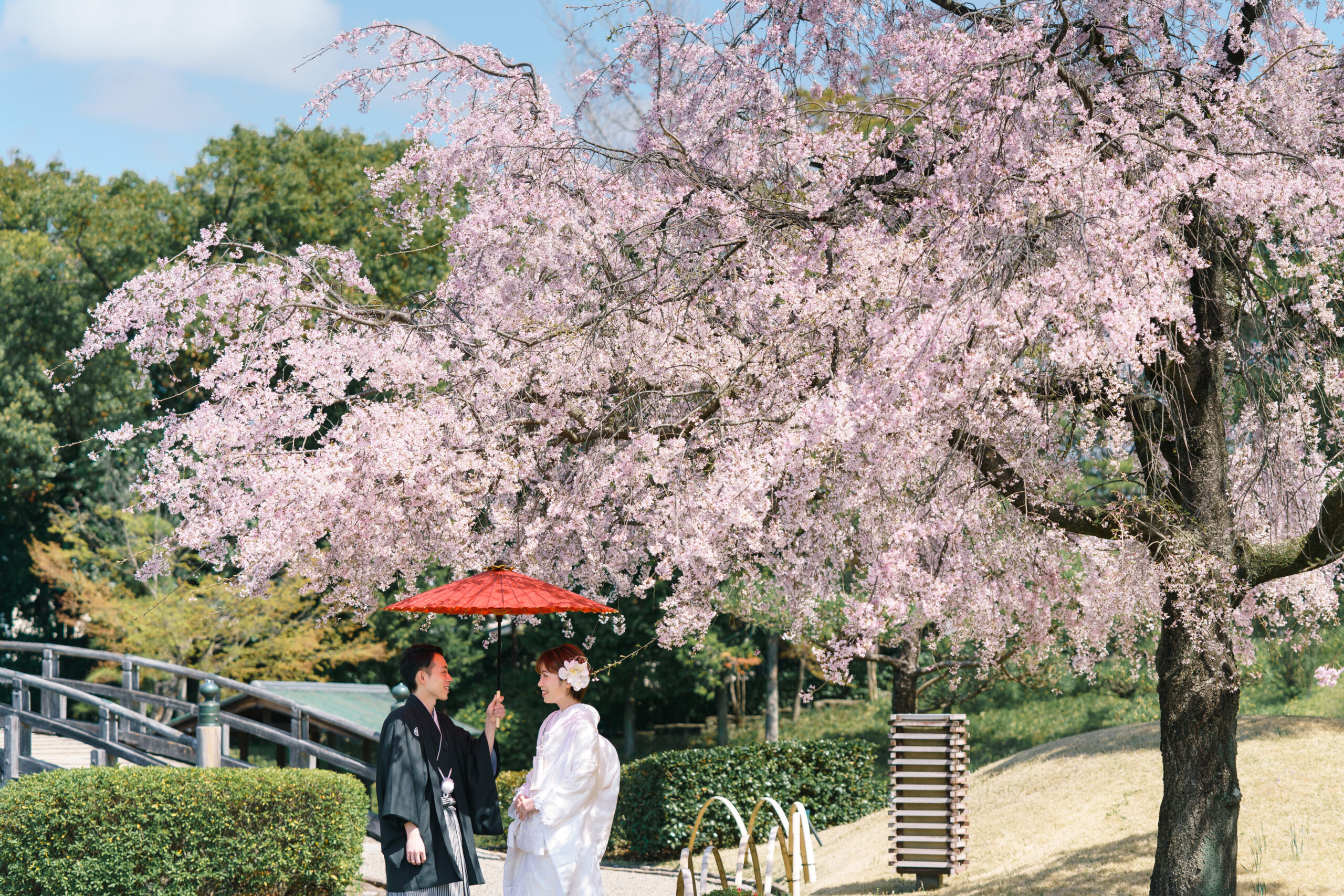 桜と一緒に花田苑ロケーション撮影
