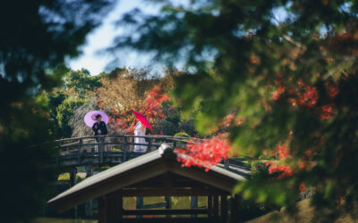 白無垢で花田苑紅葉フォト